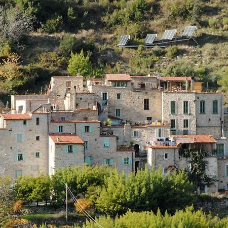 Ecovillaggio Torri Superiore Torri (Florence) Ngoại thất bức ảnh